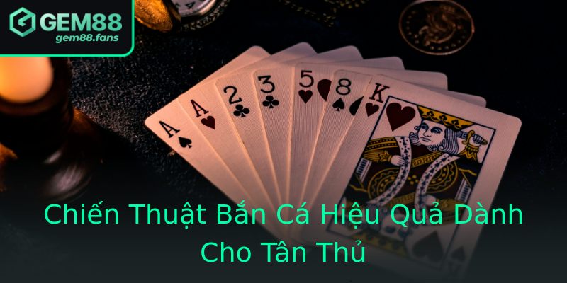 Chiến Thuật Bắn Cá Hiệu Quả Dành Cho Tân Thủ Chiến Thuật Bắn Cá Hiệu Quả Dành Cho Tân Thủ