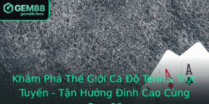 Kham Pha The Gioi Ca O Tennis Truc Tuyen Tan Huong Inh Cao Cung Gem88
