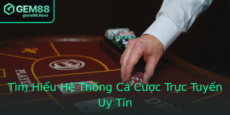 Tìm Hiểu Hệ Thống Cá Cược Trực Tuyến Uy Tín Tìm Hiểu Hệ Thống Cá Cược Trực Tuyến Uy Tín